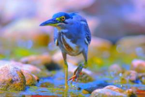 2022年卡塔尔世界杯全部战绩回顾，精彩赛事全记录2022世界杯全部战绩图